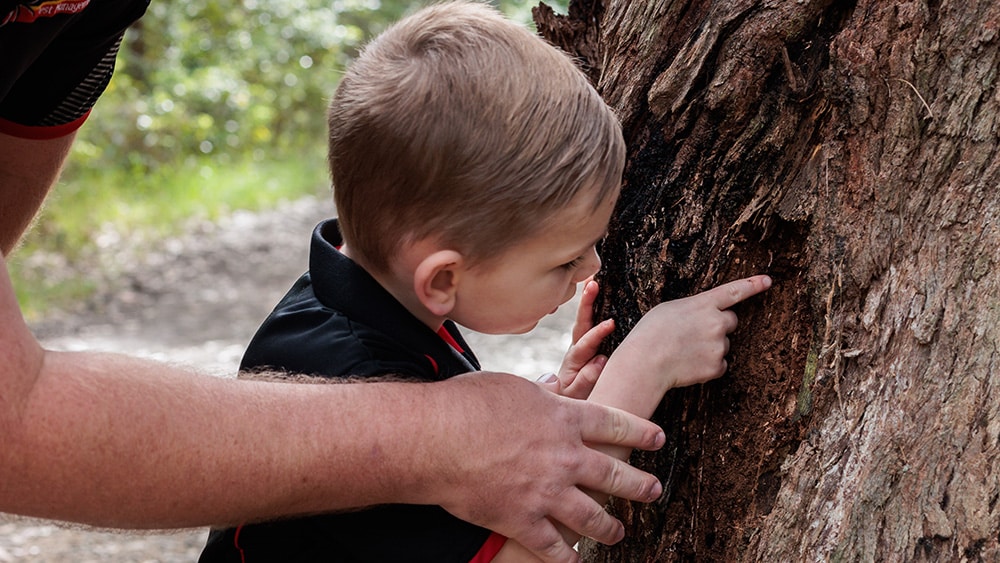 Theo inspecting termite activity around a tree in the bush